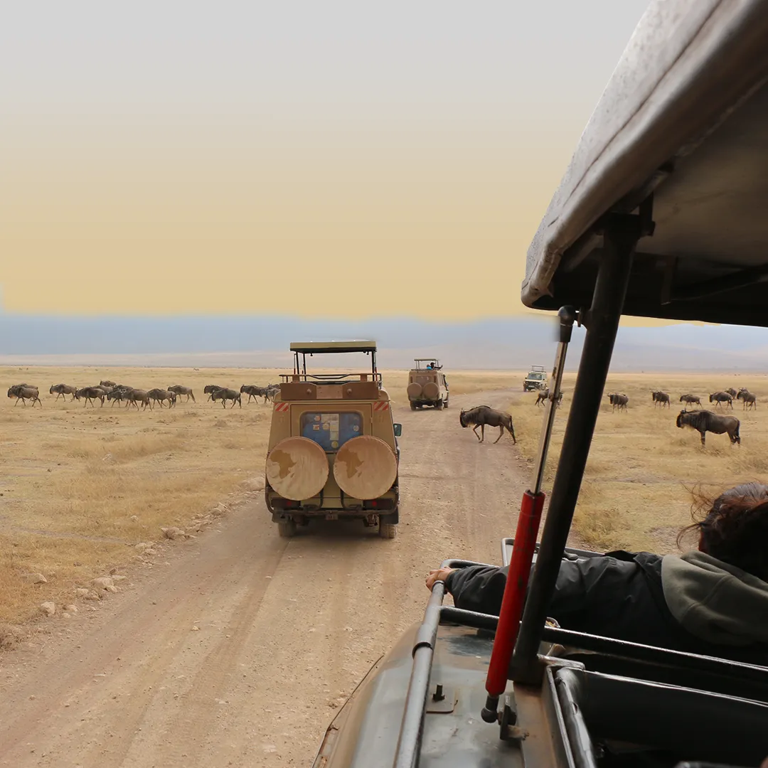 Tanzania Attractions