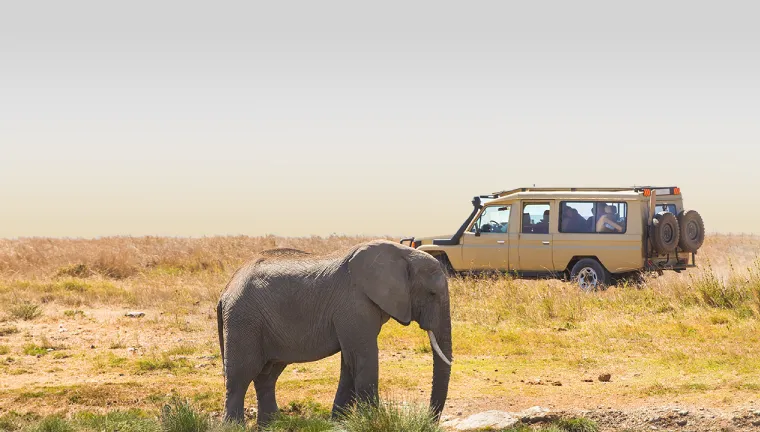 10 Days Tanzania Private Safari