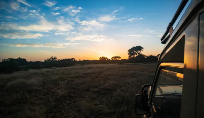 The Magic of a Savannah Sunrise