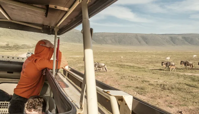 Game Drives