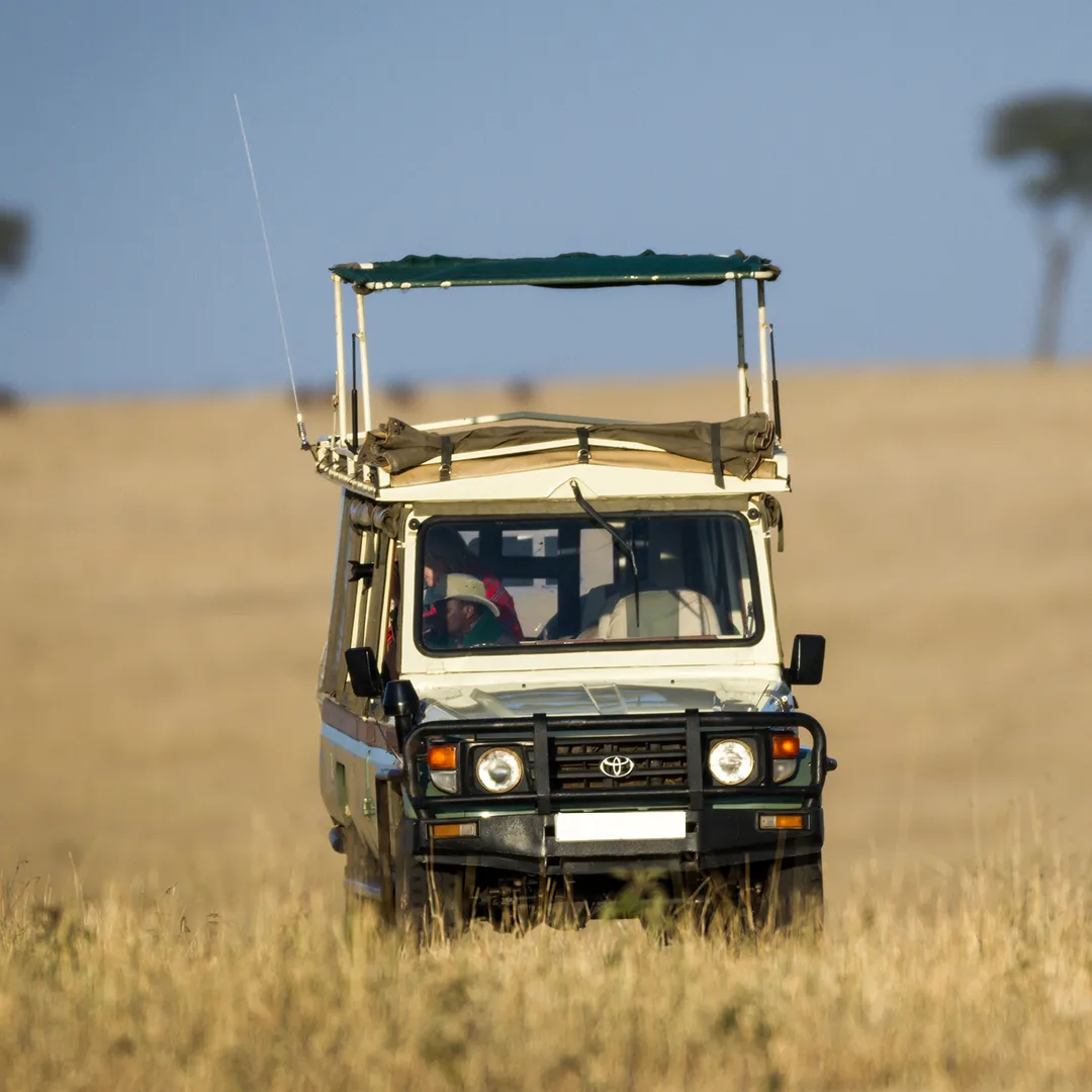 Tanzania Attractions