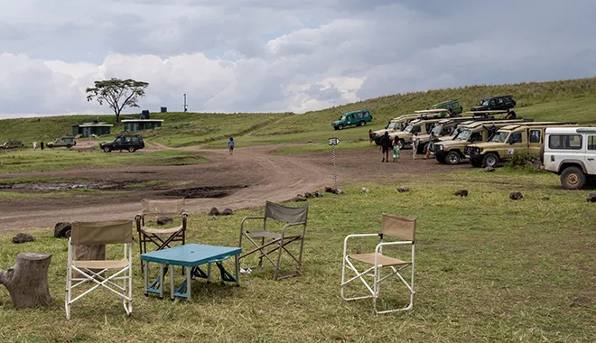 Game Drives