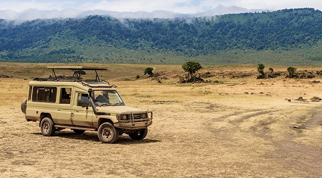 3 Days ( Tarangire / Ngorongoro Crater/ Lake Manyara) Game Drive