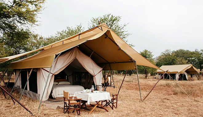 Camping Experience