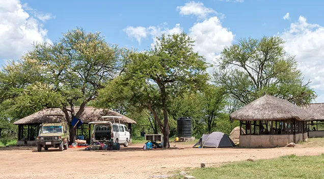 Tanzania Safari