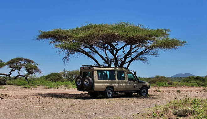 Game Drives
