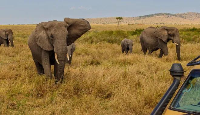 Best time to visit Kilimanjaro