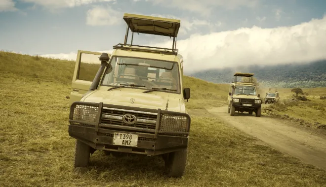 Classic 4x4 Safari Adventure