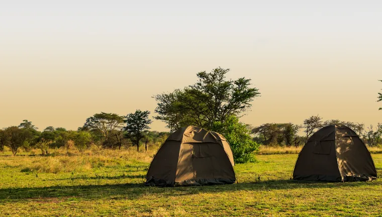 5 Days Tanzania Camping Safari