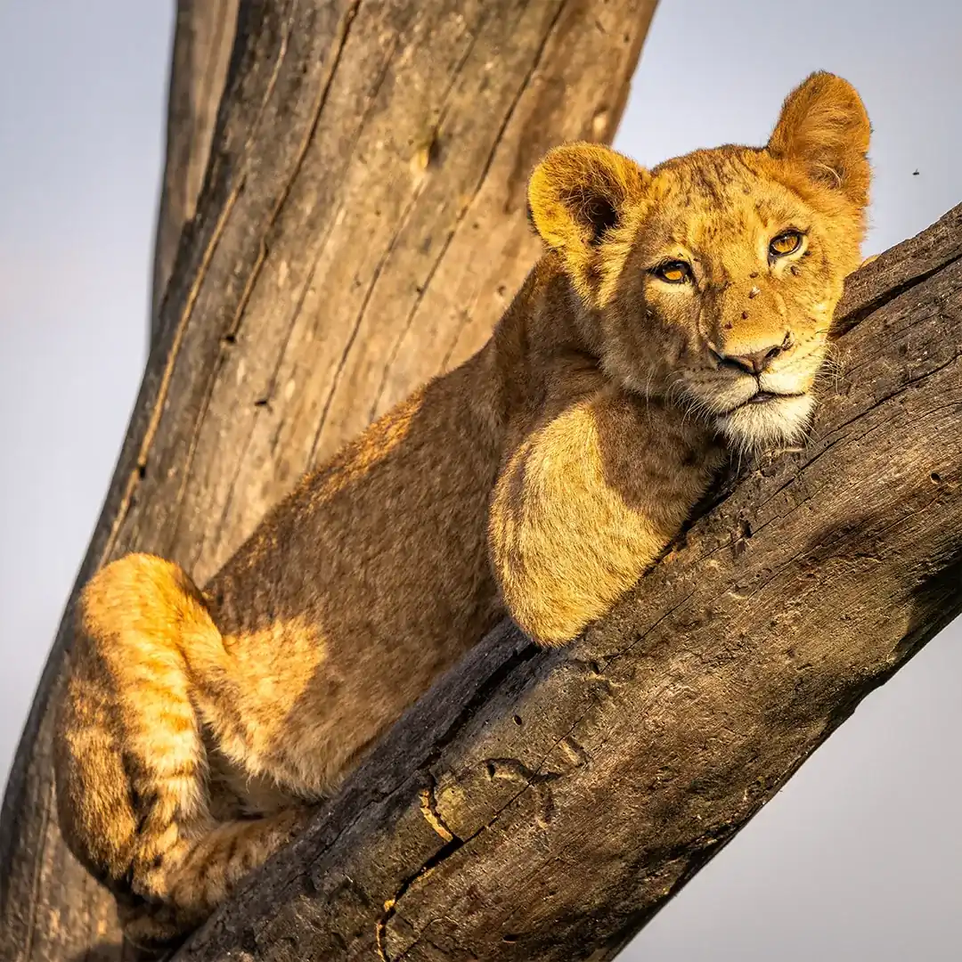 Tanzania Attractions