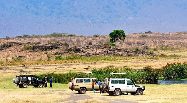 Tanzania Safari