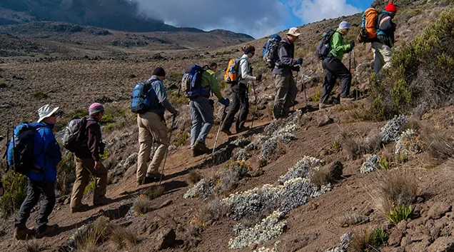 Machame Route Hiking