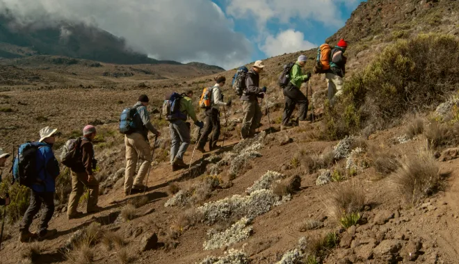 Barranco Wall