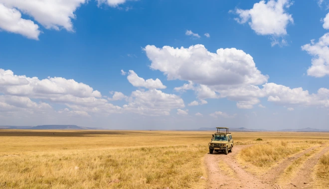 Game Drive