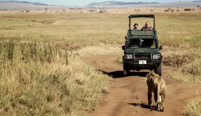 Big Five Safari