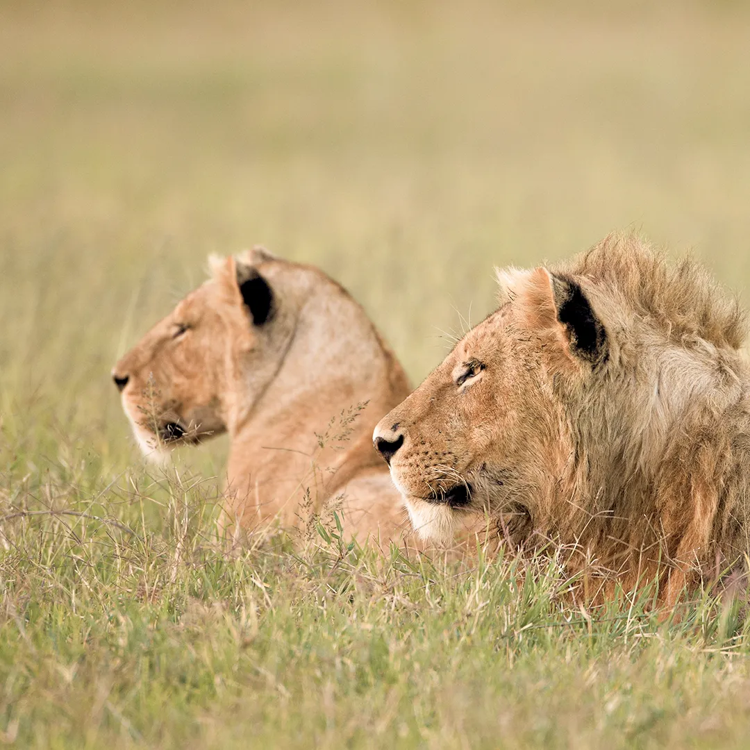 Tanzania Attractions