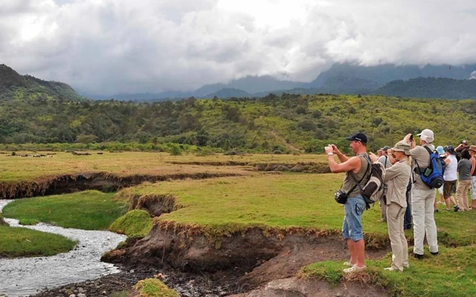 Walking Safari