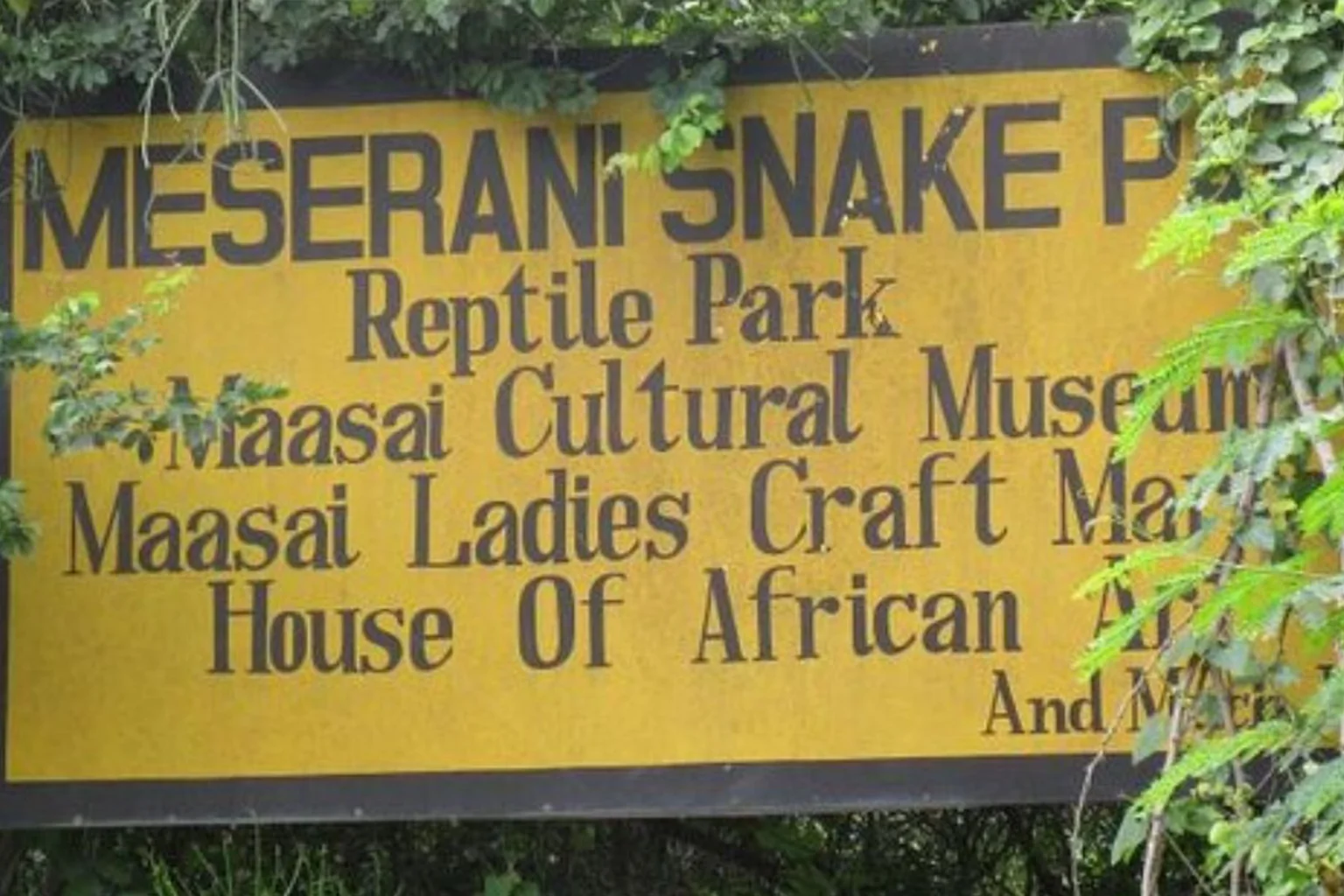 Arusha Snake Park
