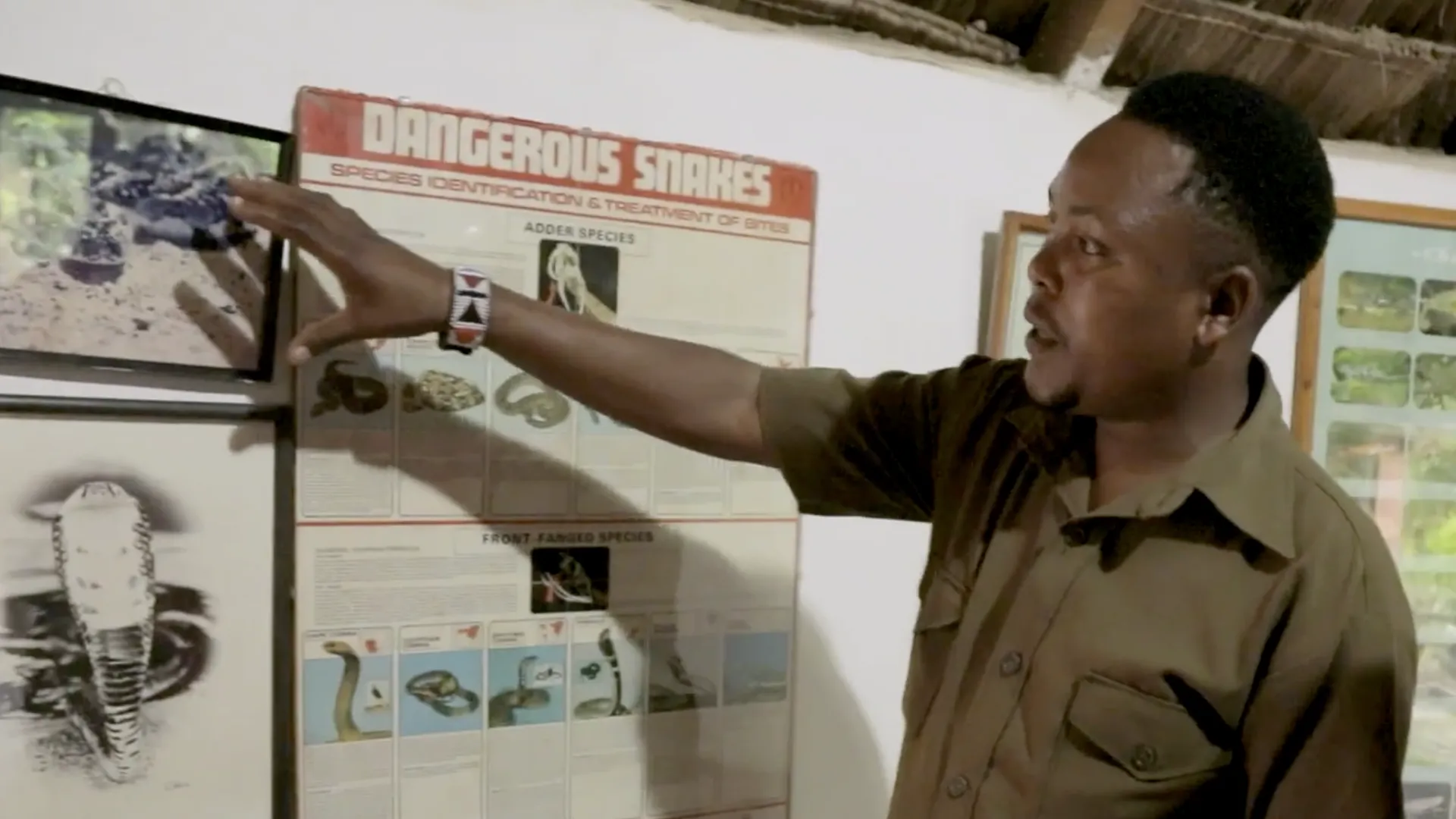 Arusha Snake Farm Tour