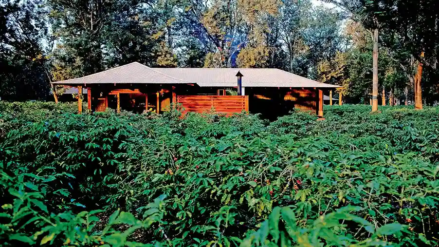 Arusha Coffee Farm Excursions