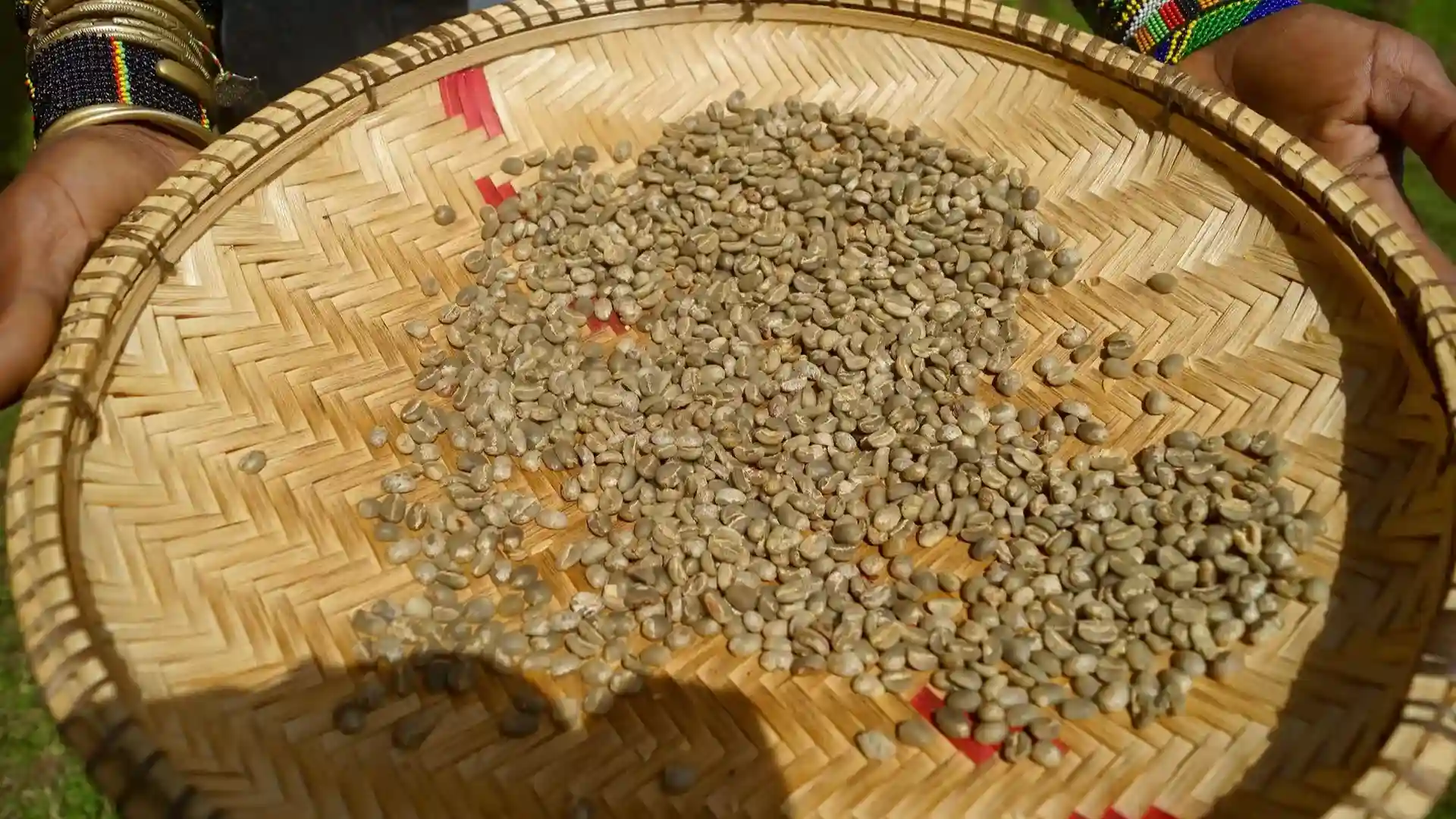 Arusha Coffee Farm Excursions