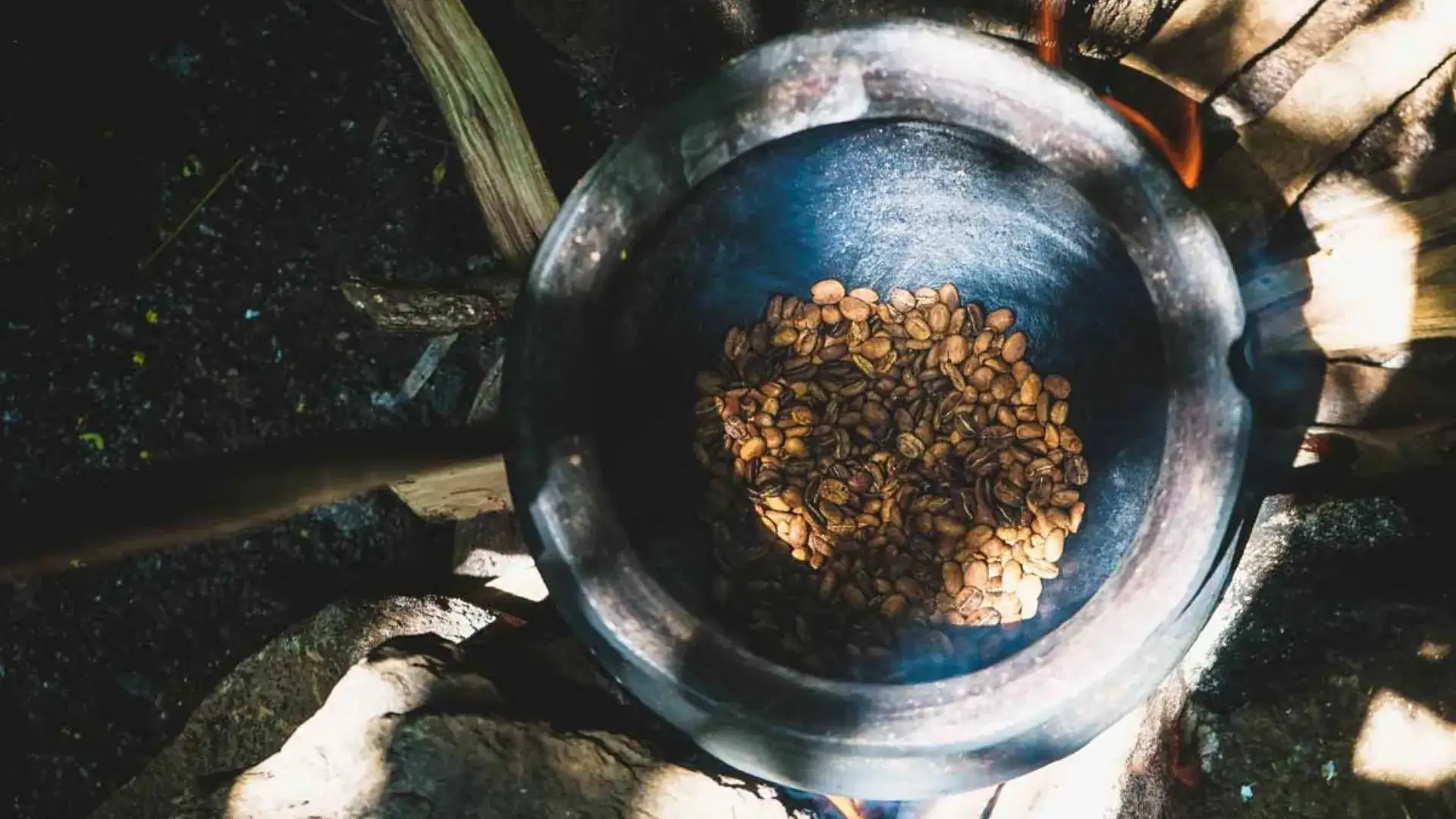 Arusha Coffee Farm Excursions