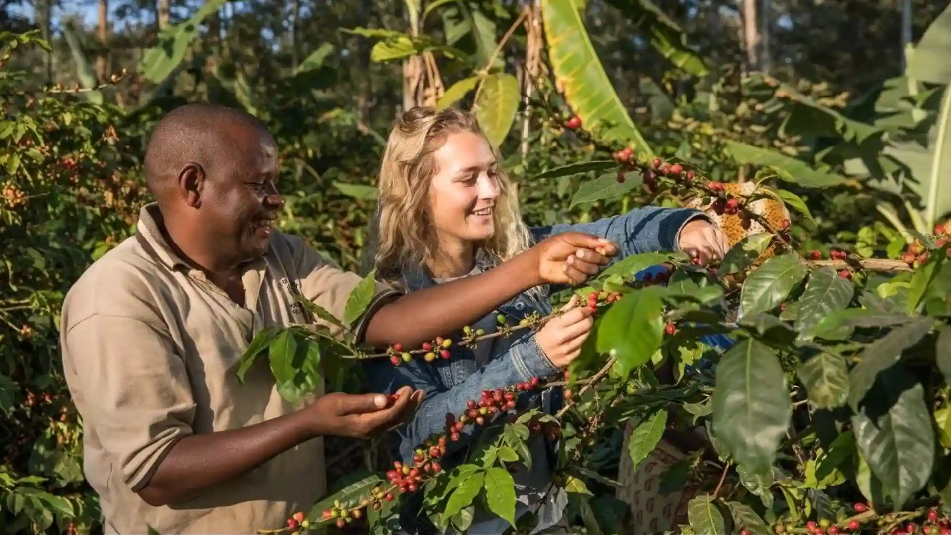 Arusha Coffee Farm Excursions