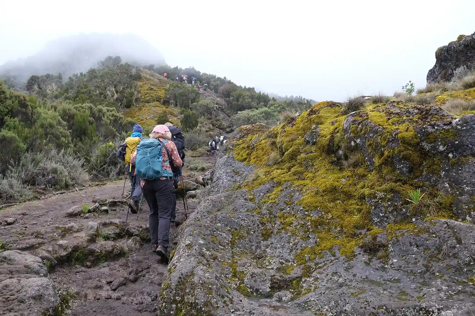 Kilimanjaro During the Short Dry Season