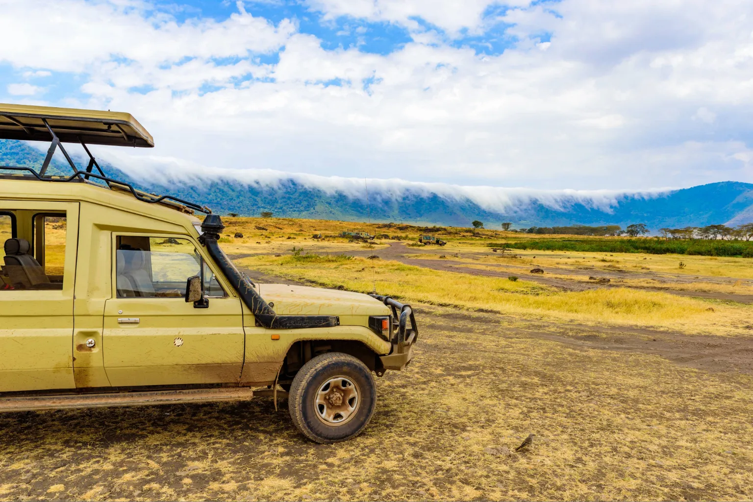 Best Time for Ngorongoro Safari