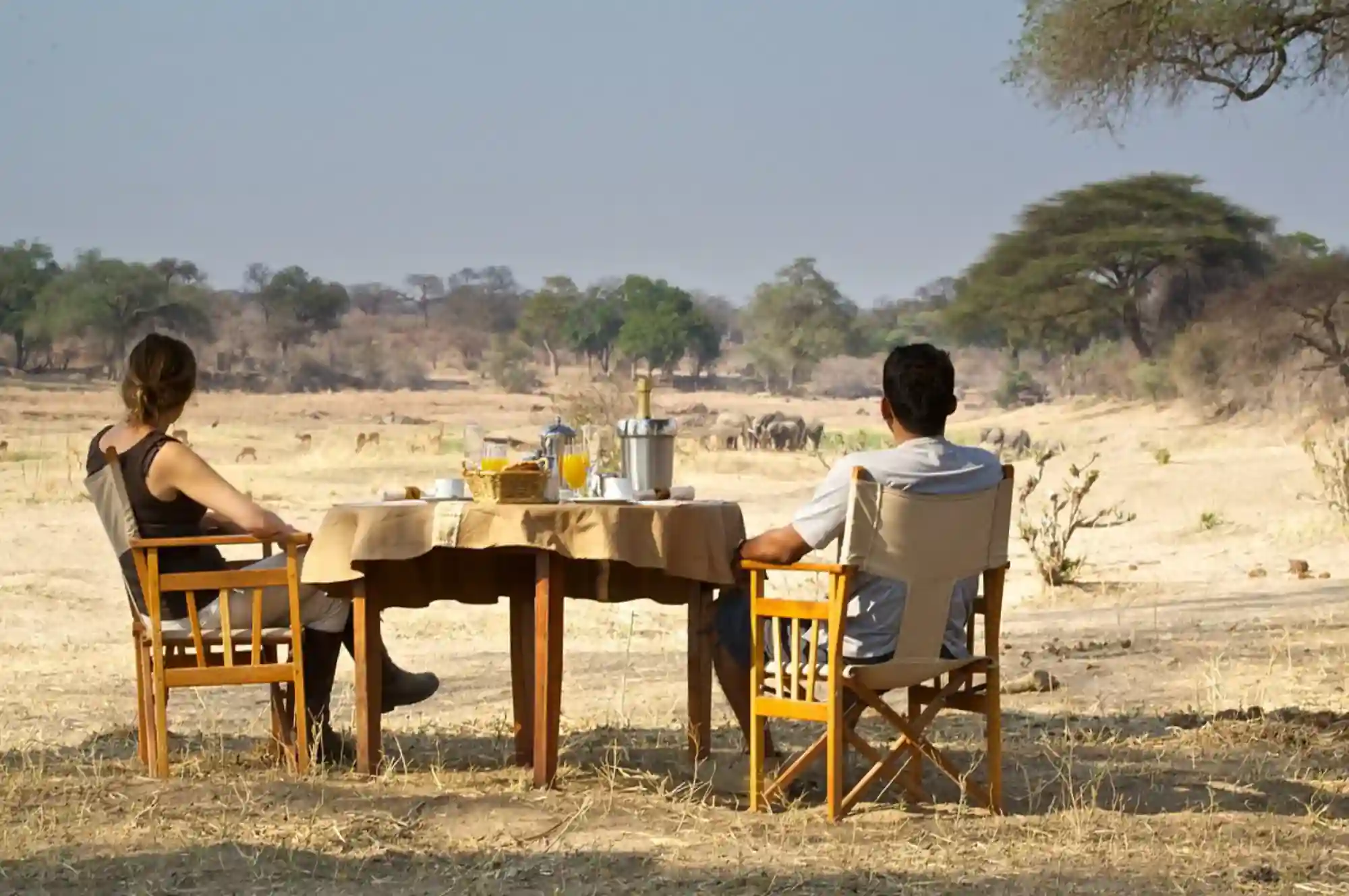 Bestday Safaris
