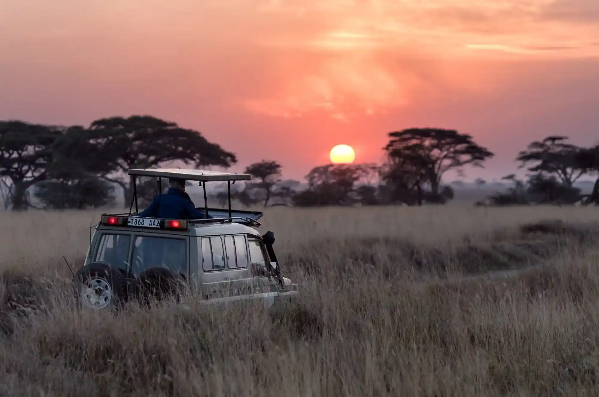 Bestday Safaris