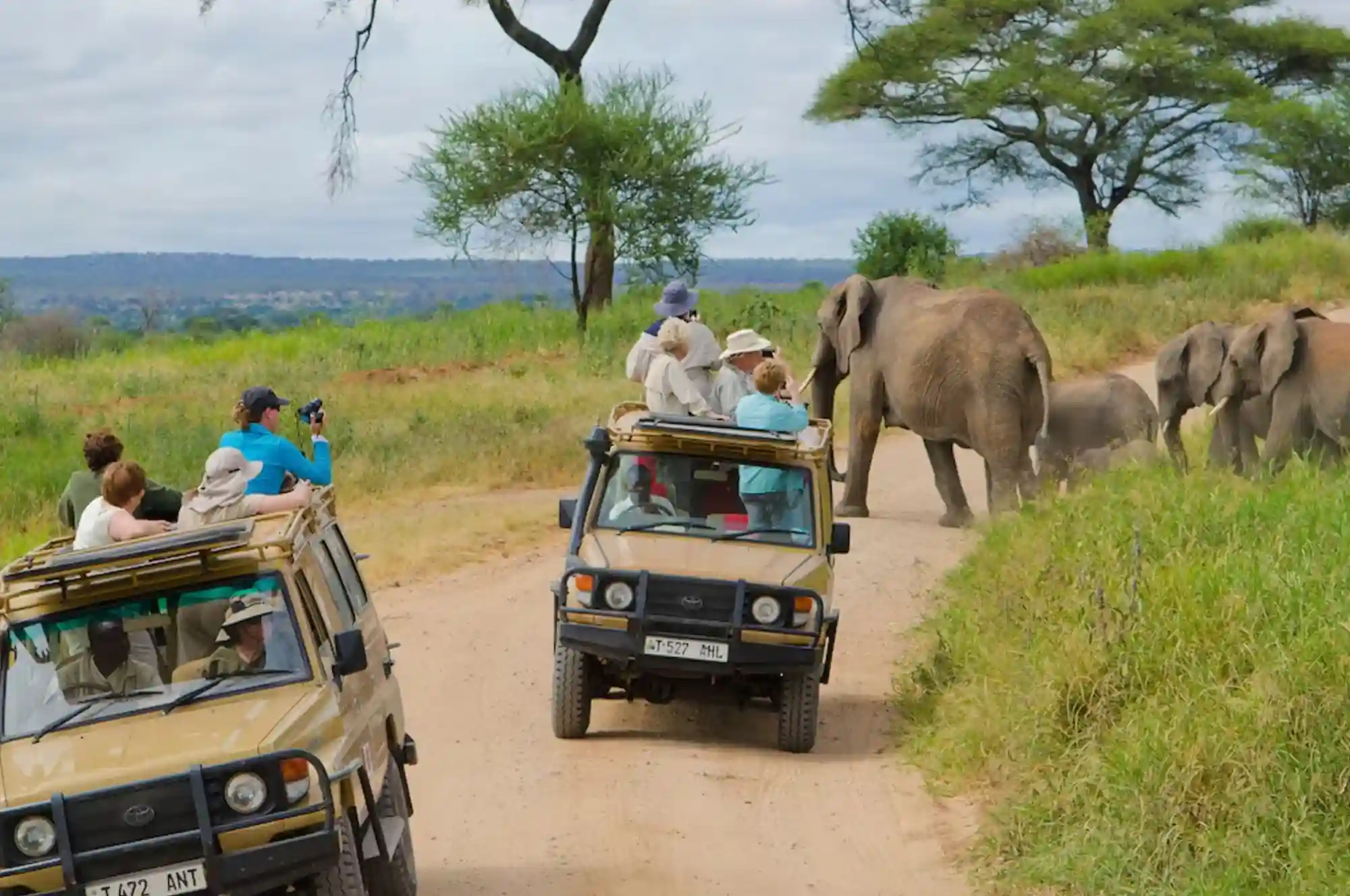 Bestday Safaris