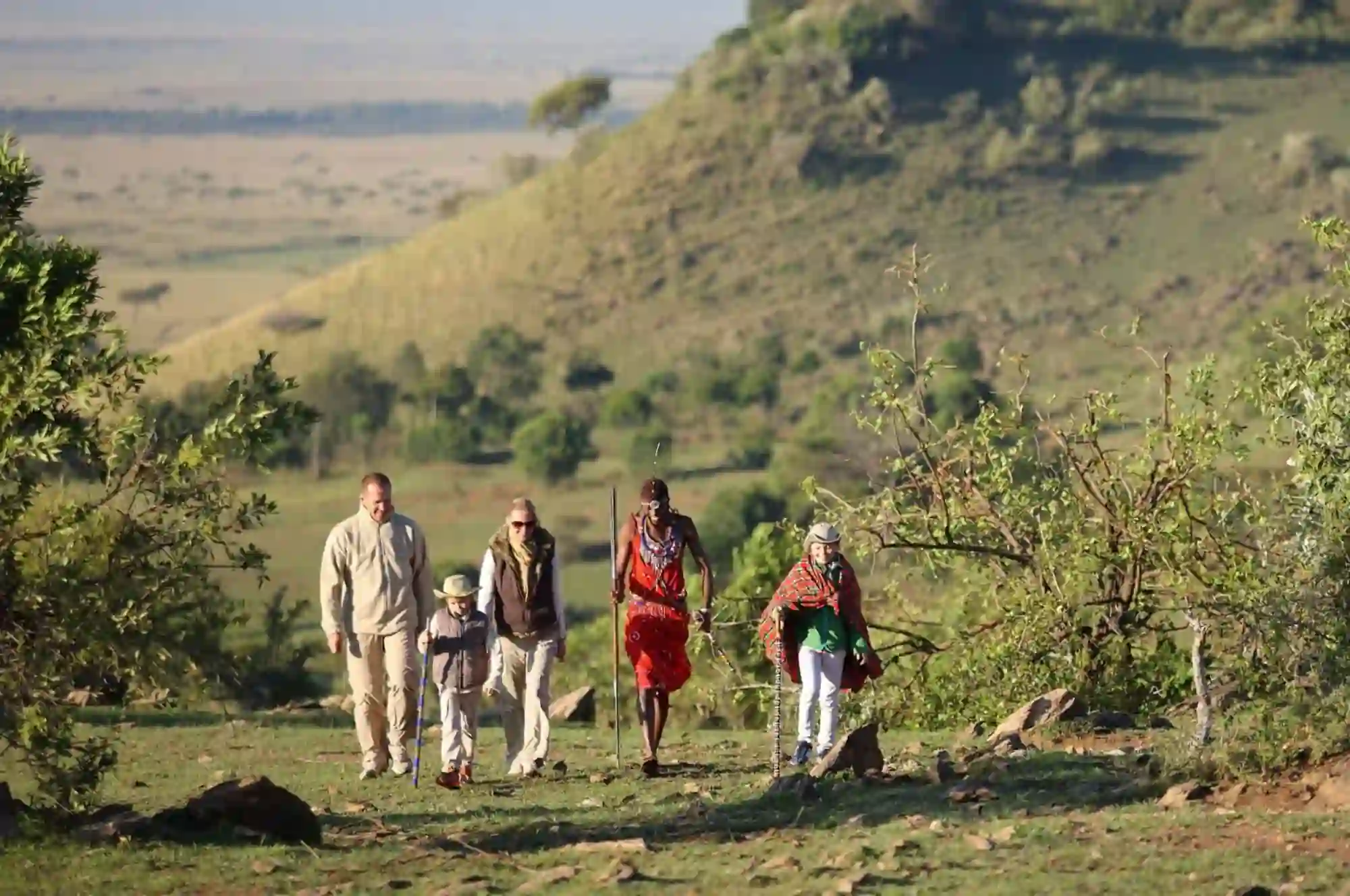 Bestday Safaris