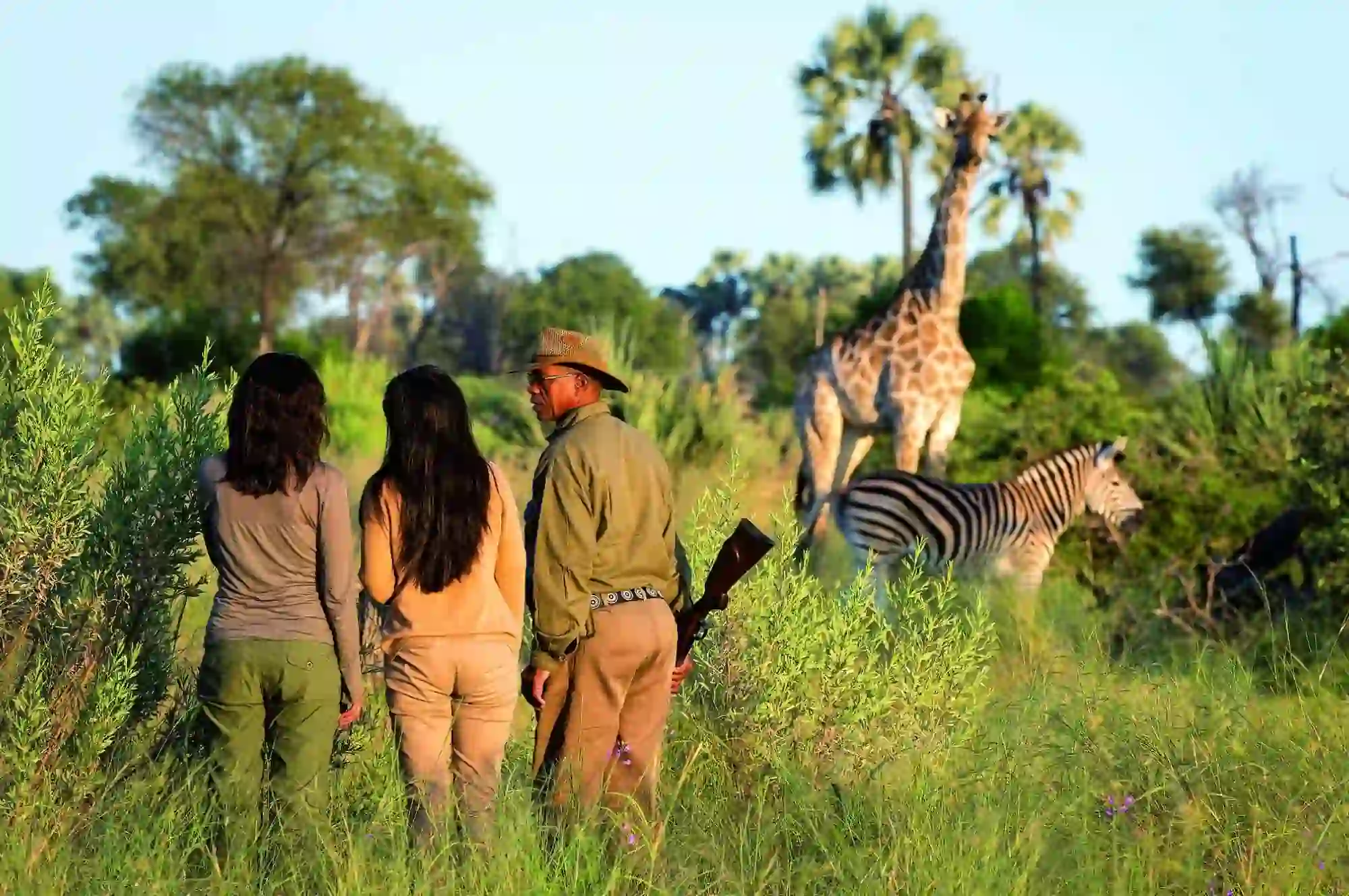 Bestday Safaris