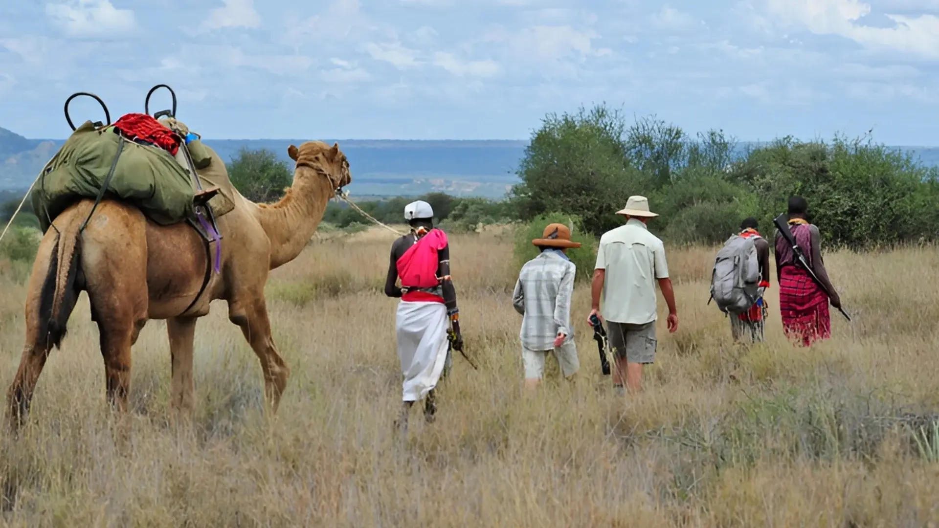 Bestday Safaris