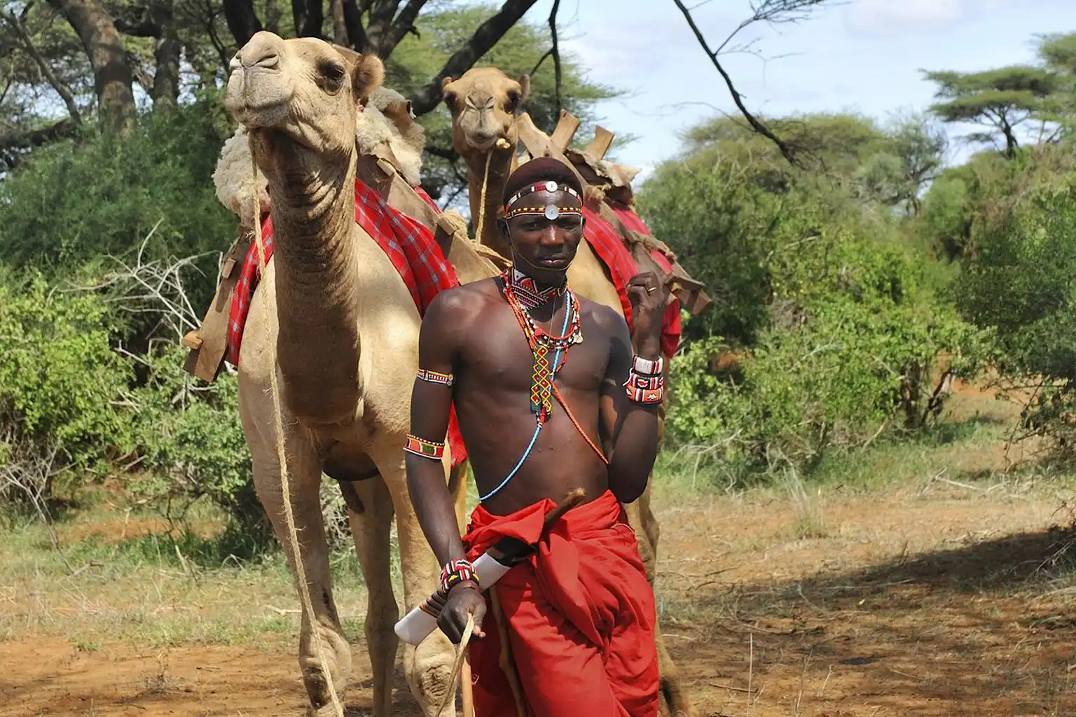 Camel Ride Adventure