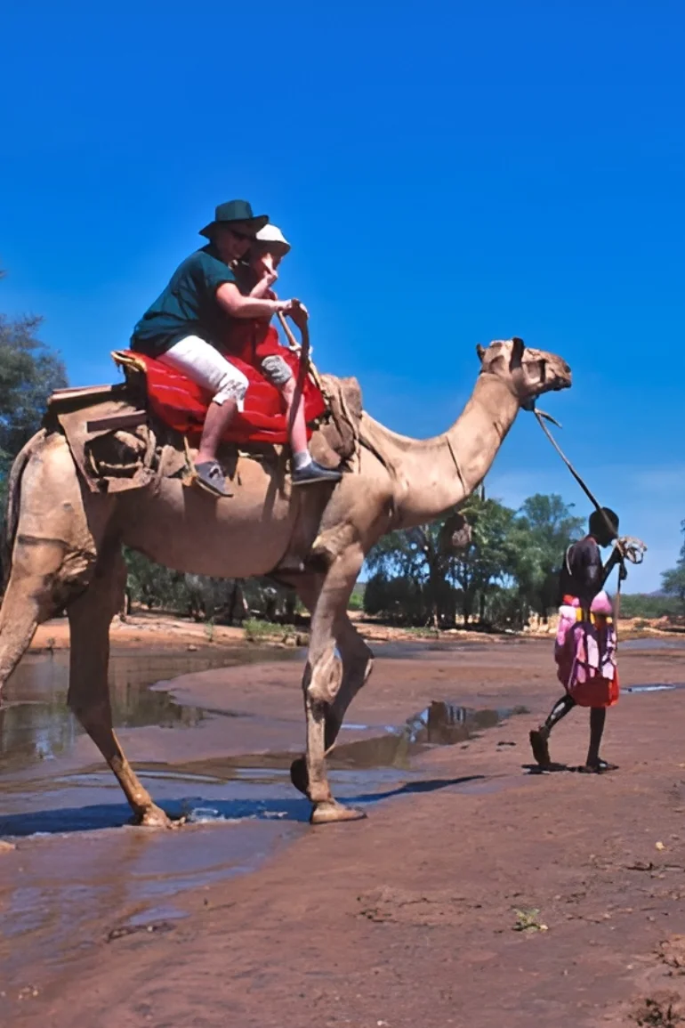 Bestday Safaris