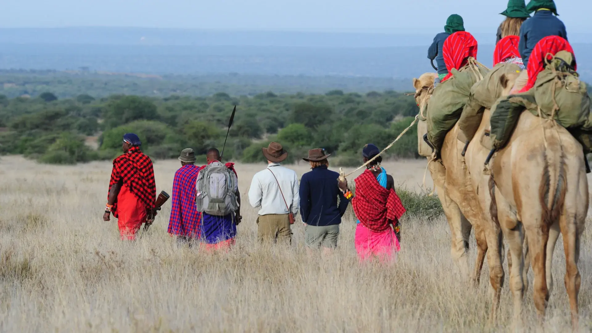 Bestday Safaris