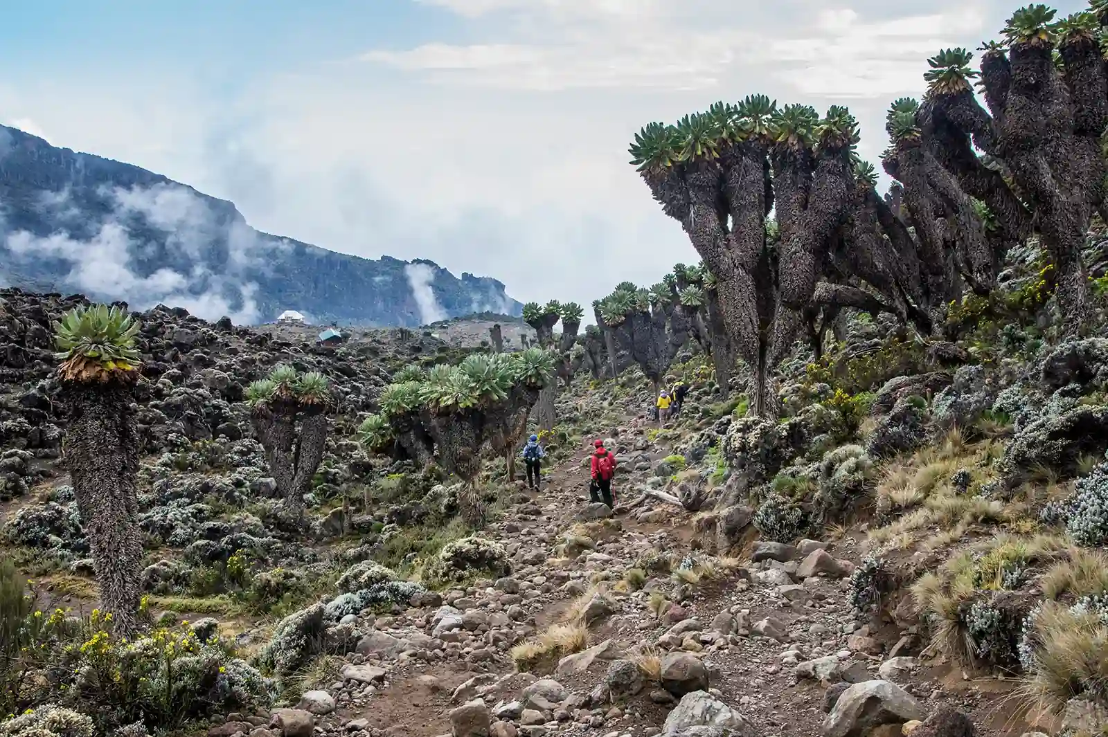 Mount Kilimanjaro