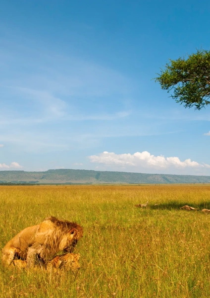Best Time to Visit Tanzania