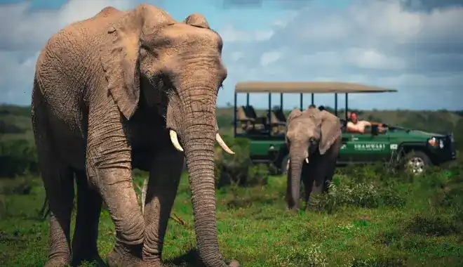 Best time to visit Kilimanjaro