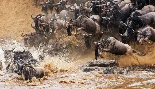 Best time to visit Kilimanjaro