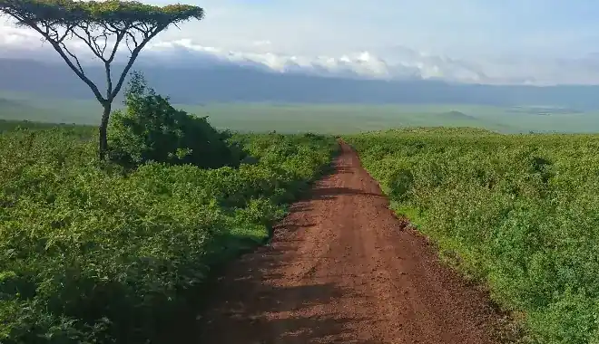 Best time to visit Kilimanjaro