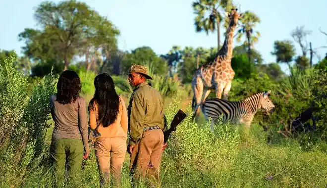 Best time to visit Kilimanjaro