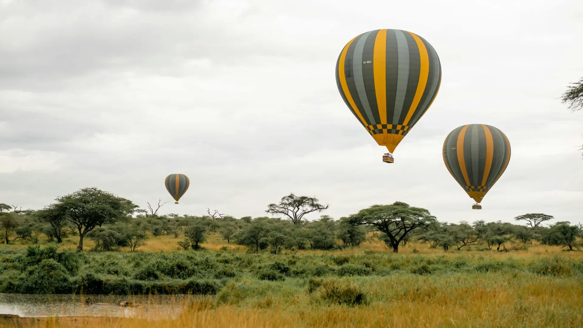 Serengeti Hot Air Ballon Safari