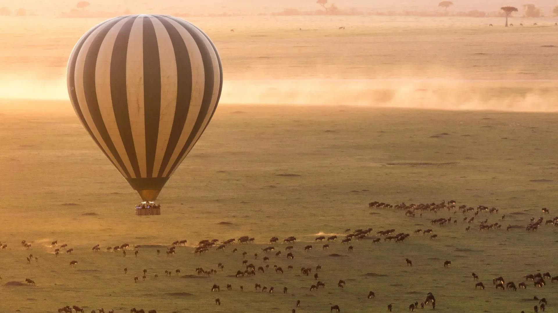 Serengeti Hot Air Ballon Safari