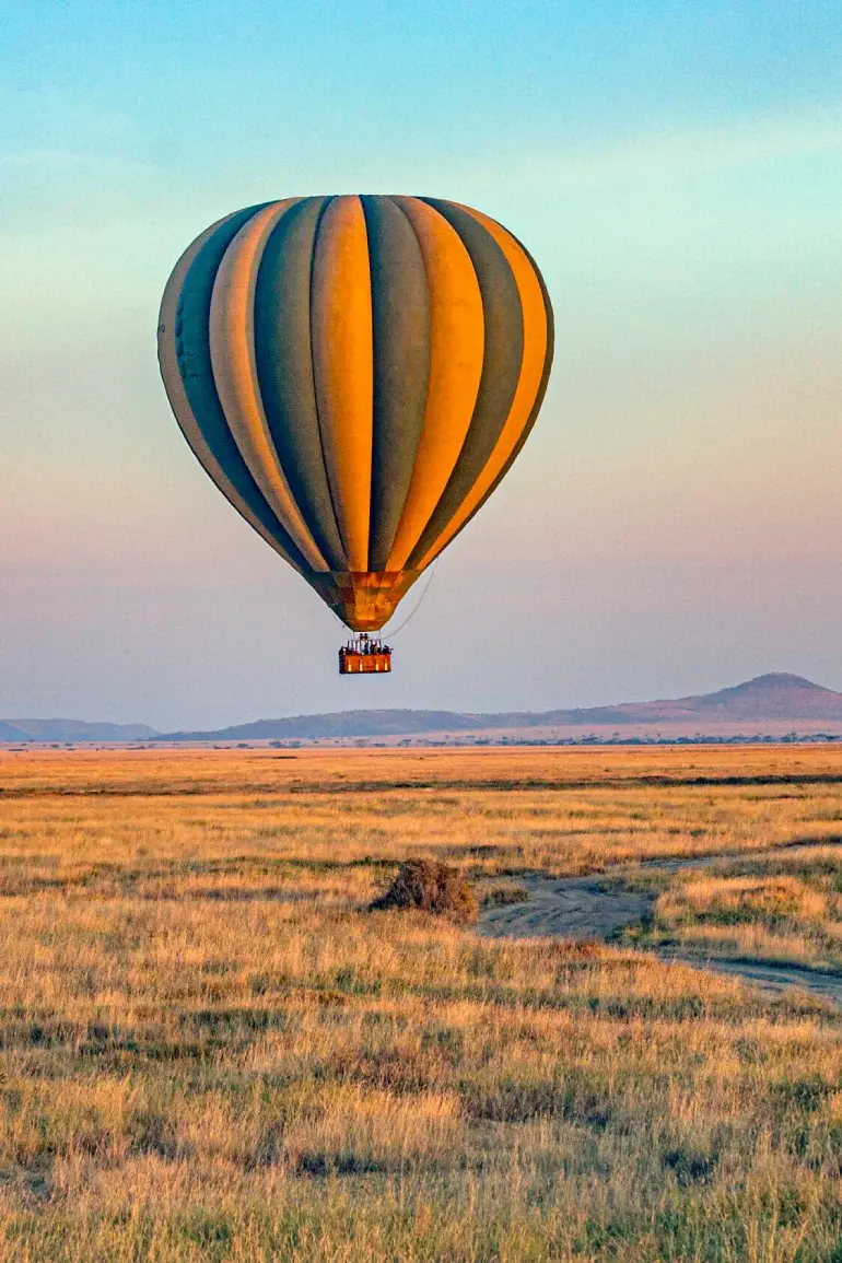 Bestday Safaris