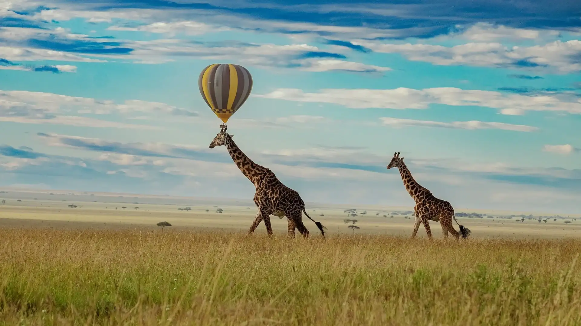 Serengeti Hot Air Ballon Safari