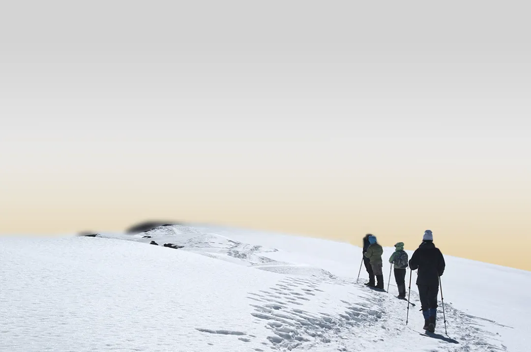 Kilimanjaro Climbing Cost