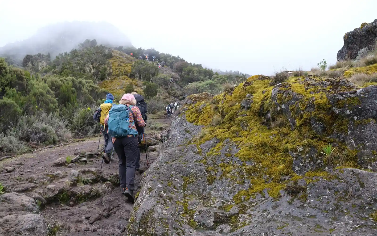 Kilimanjaro Climbing